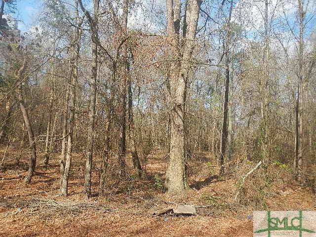 Byron, GA 31008,0 Peavy RD