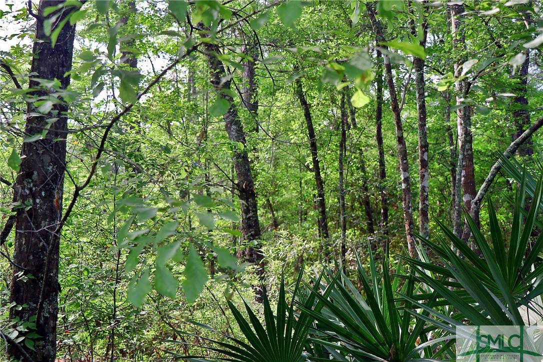 Bloomingdale, GA 31302,168 Middle Landing RD