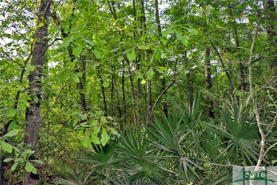 Bloomingdale, GA 31302,168 Middle Landing RD