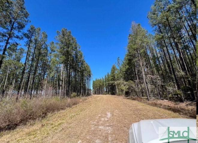 Ludowici, GA 31316,1 Rye Patch NE RD