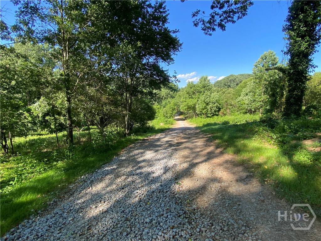 Homer, GA 30547,Tract 2 Hwy 51S