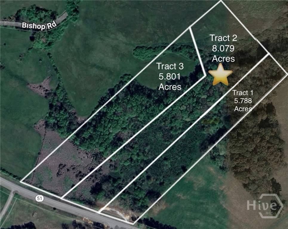 Homer, GA 30547,Tract 2 Hwy 51S