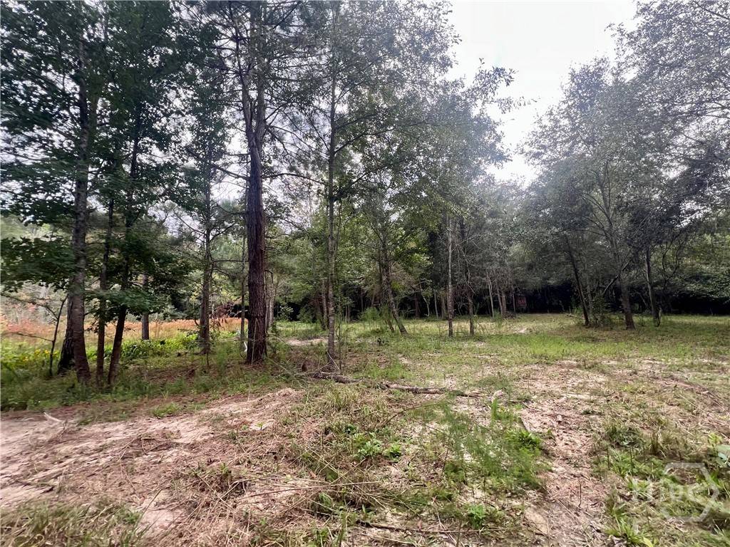 Colbert, GA 30628,0 McCarty Dodd Rd.