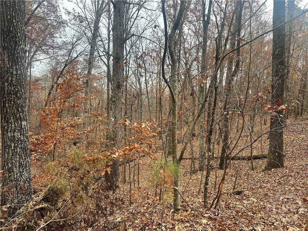 Flowery Branch, GA 30542,4947 Cash RD