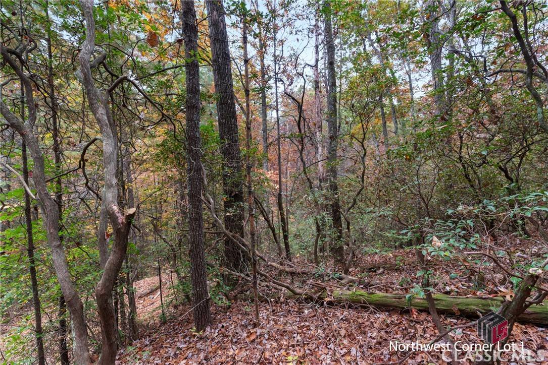 Clarkesville, GA 30523,00 Chimney Mountain Flats TRL