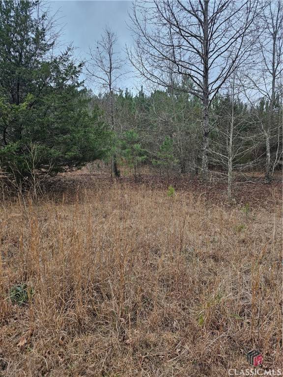 Carlton, GA 30627,730 Osley Mill RD