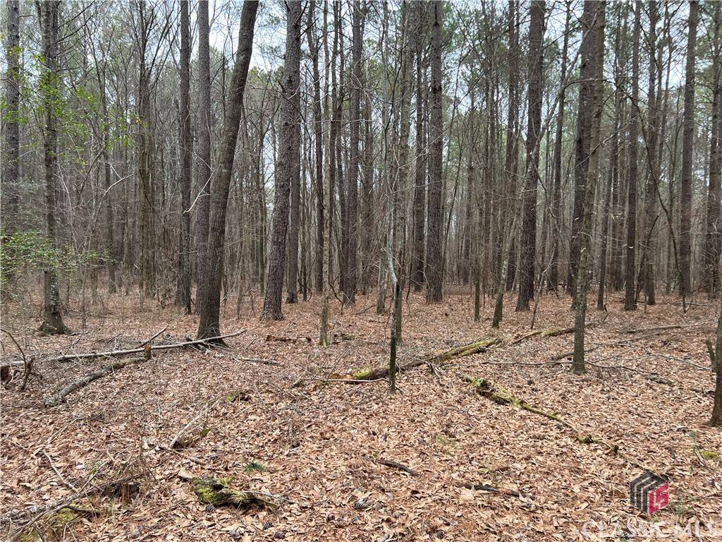 Watkinsville, GA 30677,Lot B Salem RD