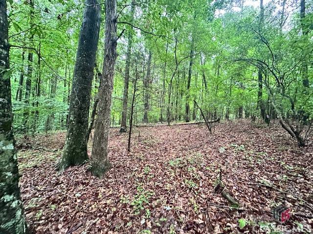 Danielsville, GA 30633,0 Cedar LN