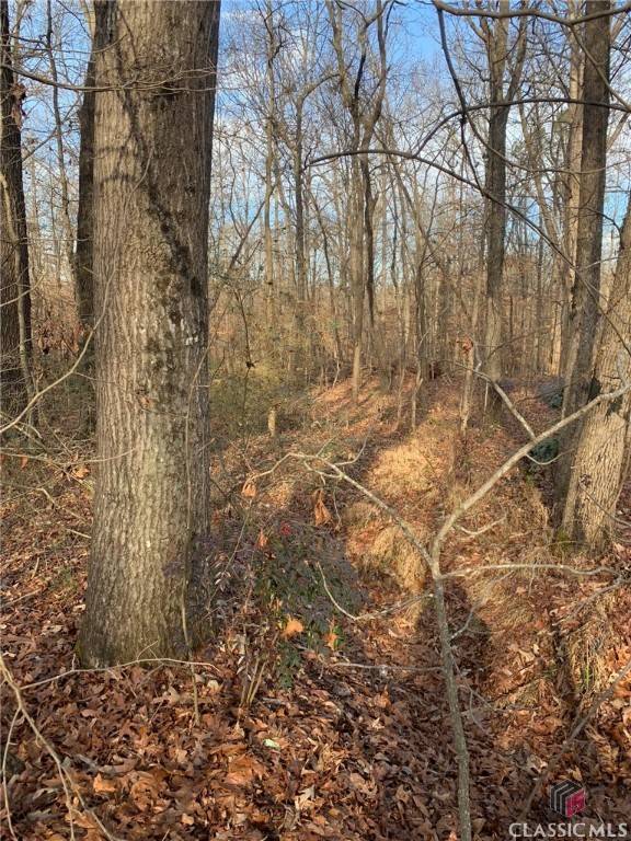 Royston, GA 30662,0 S Tanglewood DR