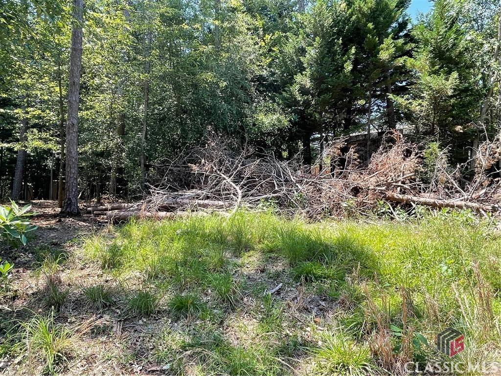 Hartwell, GA 30643,Lot 4 Big Water CIR