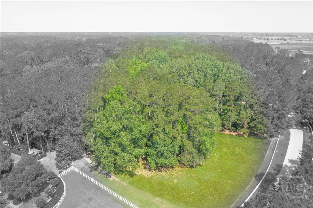 Richmond Hill, GA 31324,1231 Dublin DR