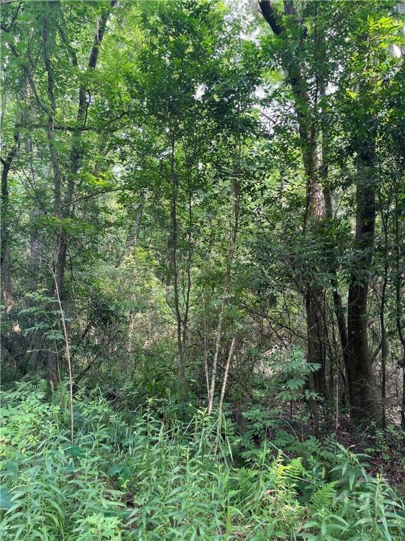 Savannah, GA 31405,0 Pickens ST