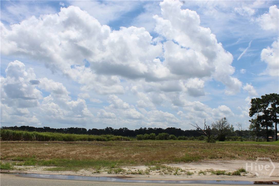 Midway, GA 31320,0 Jerico Marsh Lot 24 RD