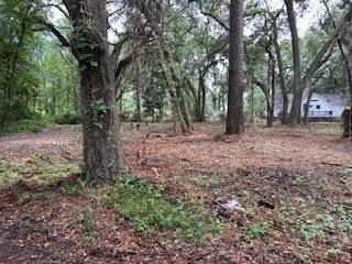 Midway, GA 31320,0 Tideland DR