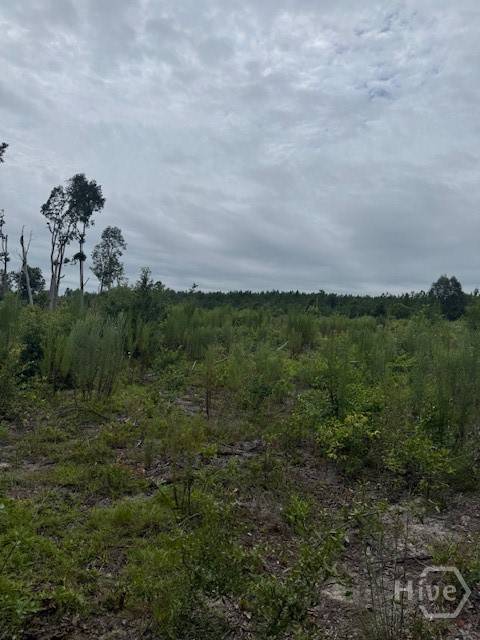 Register, GA 30452,0 Kennedy Bridge RD