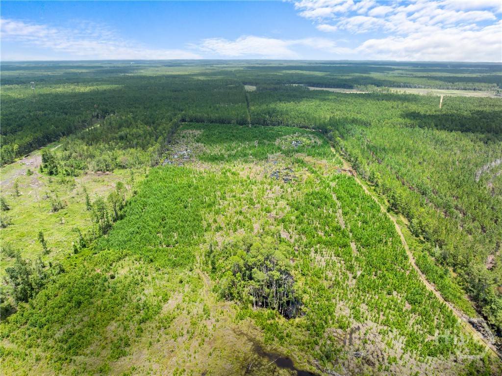 Brooklet, GA 30415,0 Railroad Bed #B
