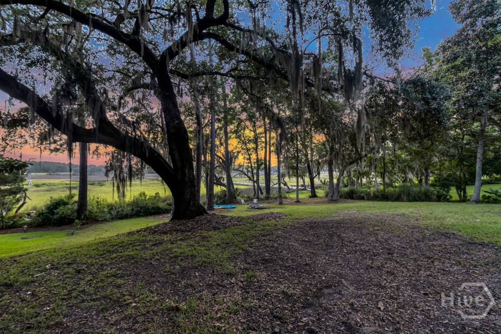 Richmond Hill, GA 31324,411 Tivoli Marsh RD