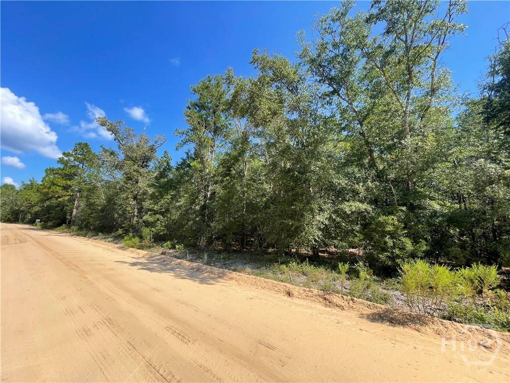 Clyo, GA 31303,03 OLD AUGUSTA RD