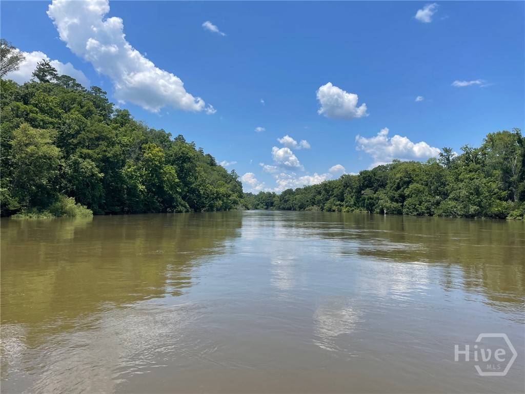 Clyo, GA 31303,09 OLD AUGUSTA RD