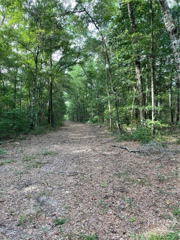 Clyo, GA 31303,09 OLD AUGUSTA RD