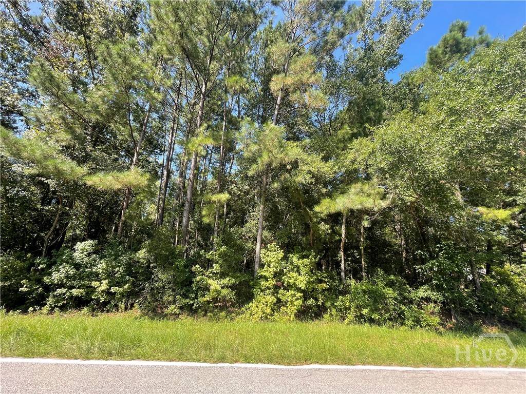 Clyo, GA 31303,0 Reedsville Rd