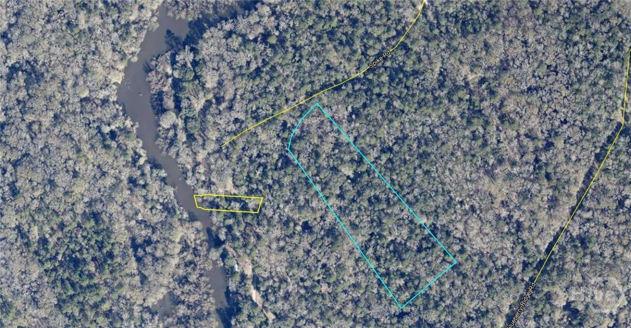 Reidsville, GA 30453,0 Spikes RD