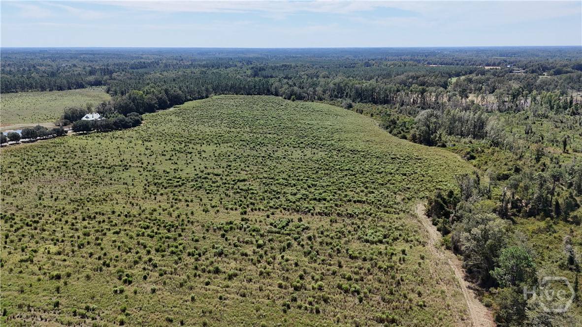 Metter, GA 30439,2548 Dry Dock RD