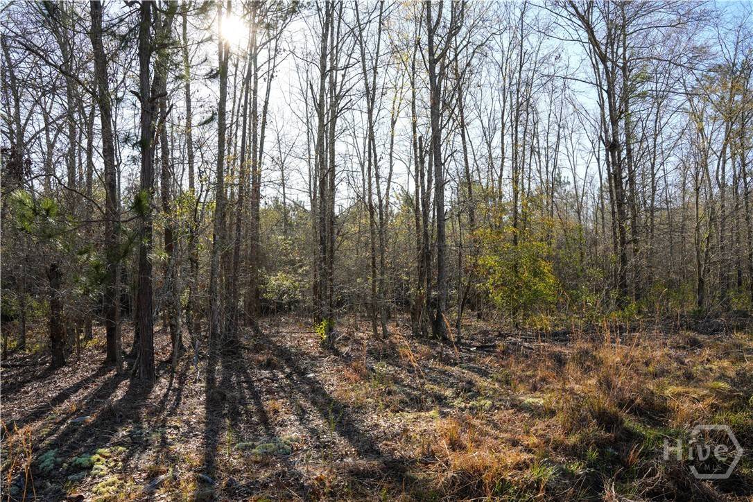 Statesboro, GA 30458,0 Clifton Road