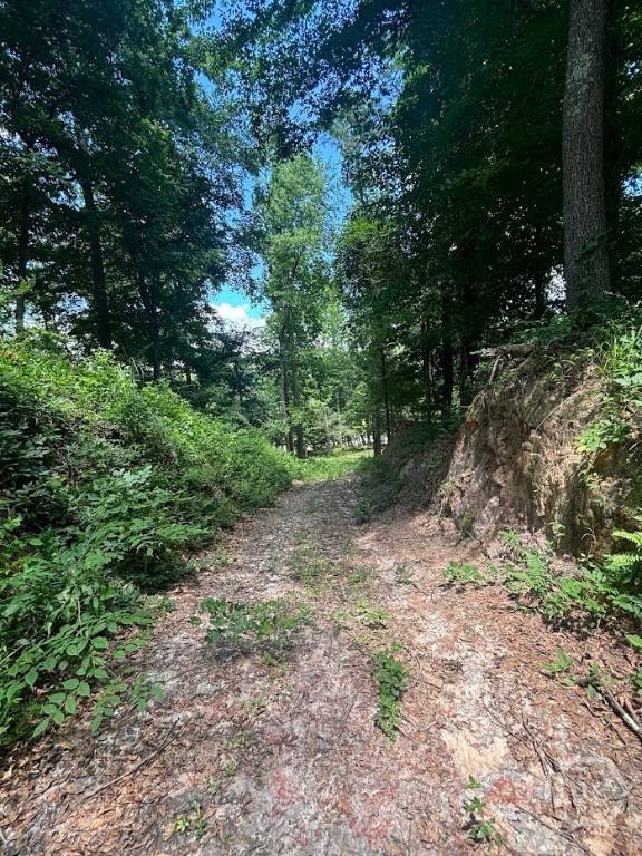 Clyo, GA 31303,282 Tuckasee King RD