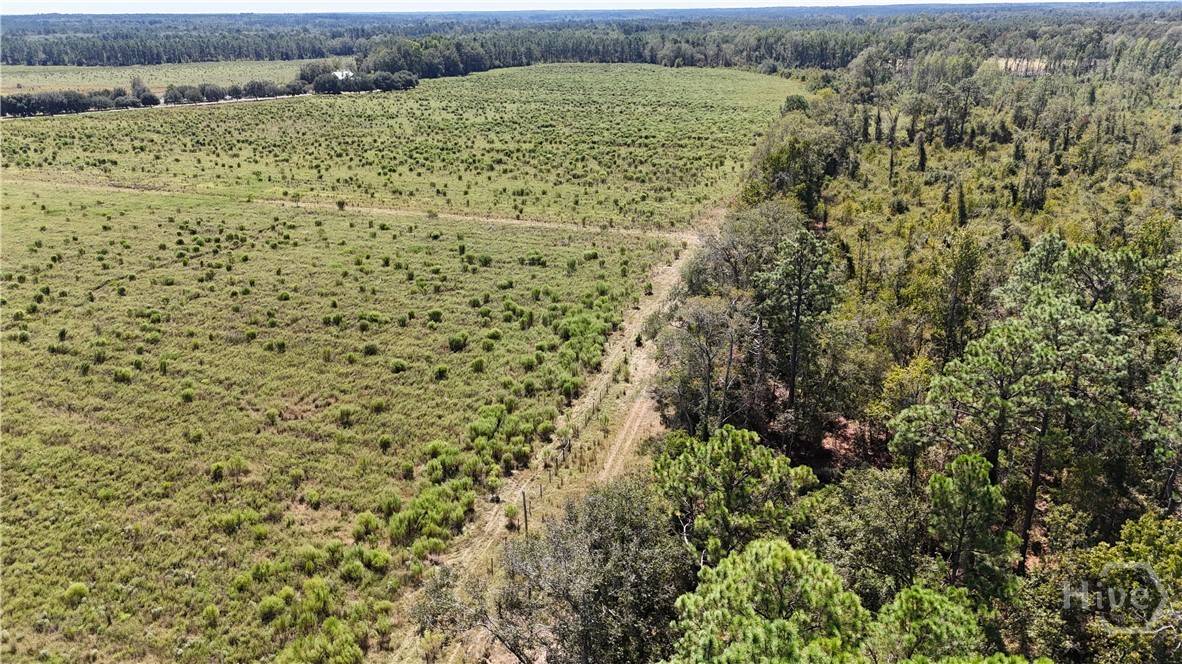 Metter, GA 30439,2548 Dry Dock RD #Tract 2