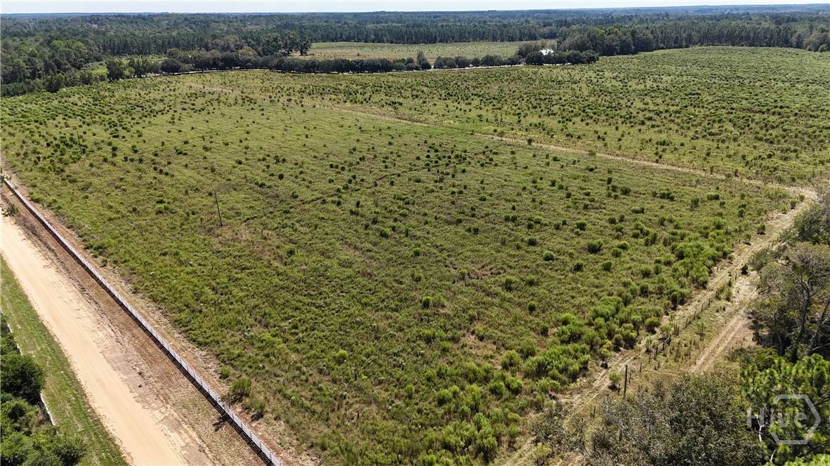 Metter, GA 30439,2548 Dry Dock RD #Tract 3