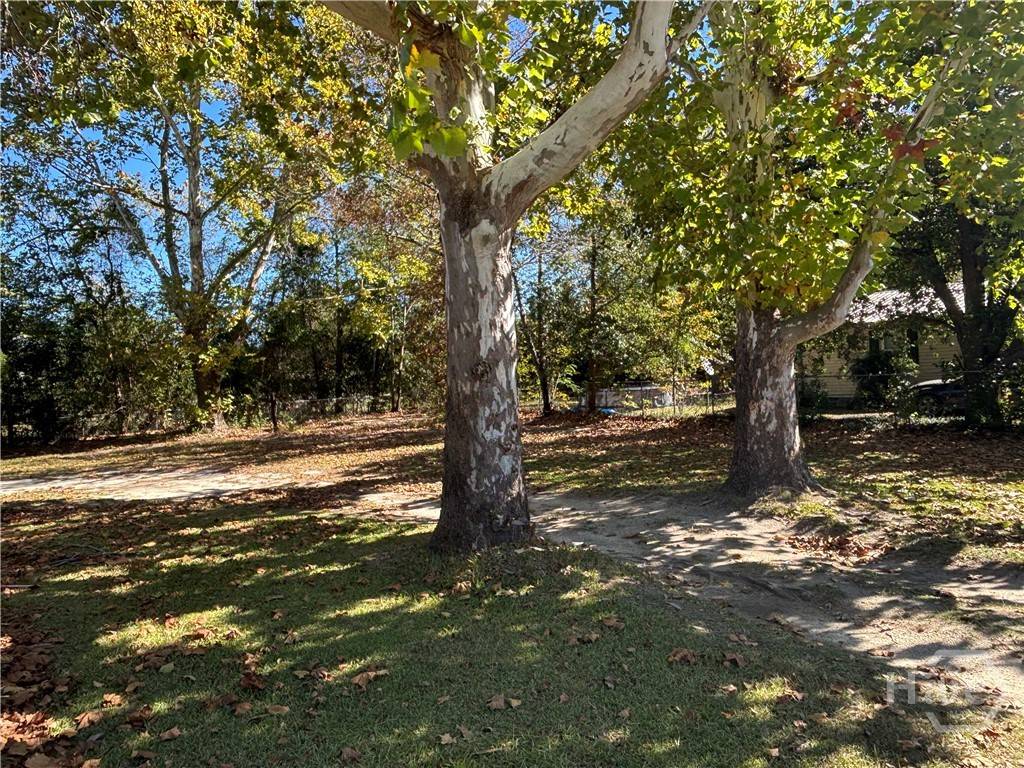 Dexter, GA 31019,312 Mullis ST