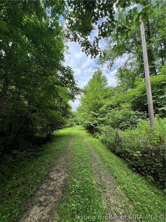 Hardinsburg, IN 47125,W Pavey Ridge RD