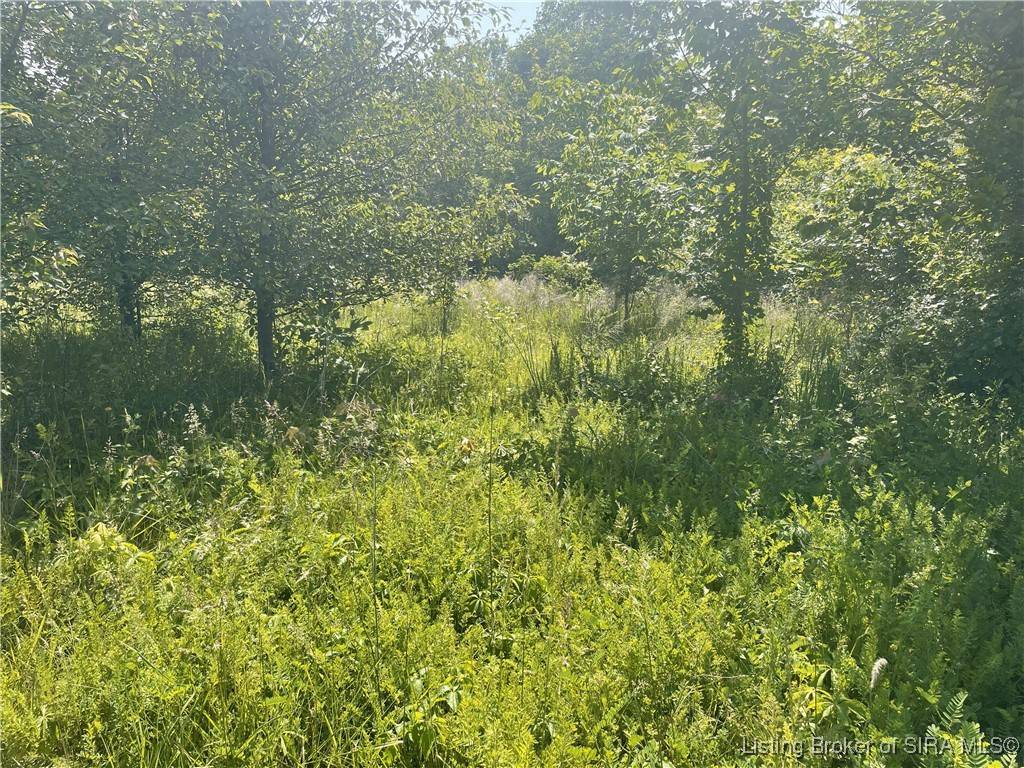 Marengo, IN 47140,Lots 64-75 S White Oak DR