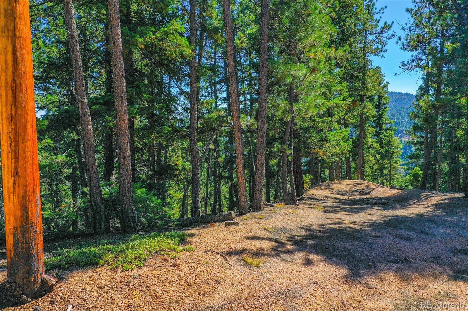 Larkspur, CO 80118,14059 Blue Jay LN