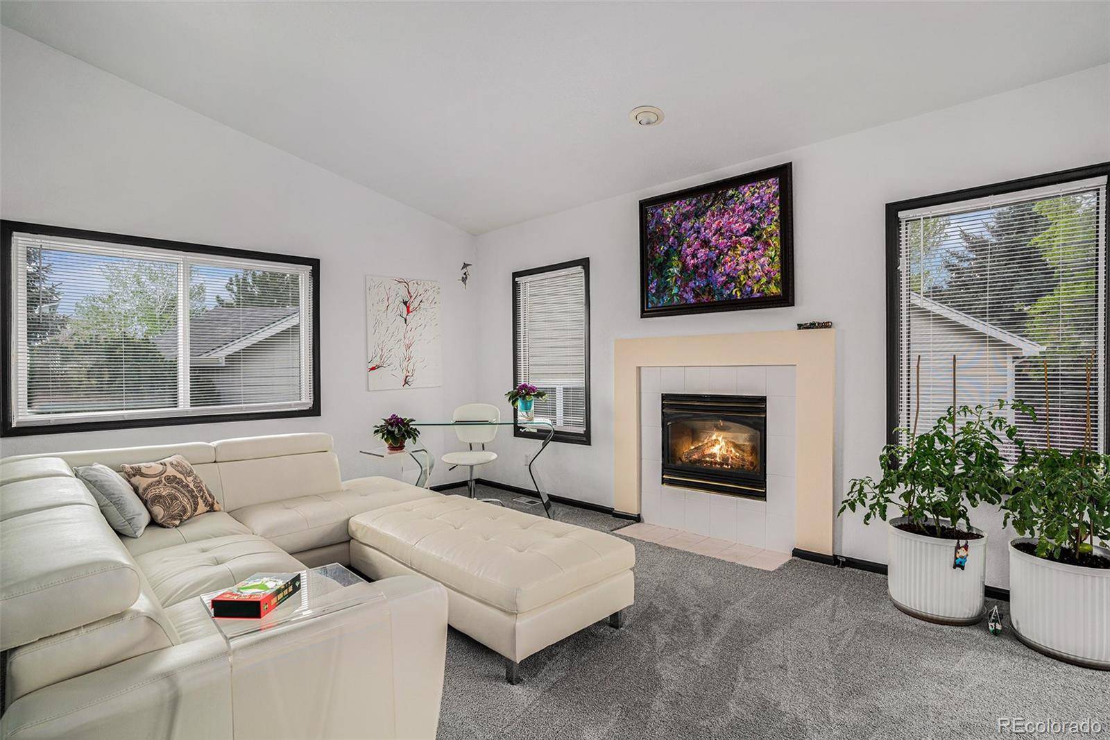 Fort Collins, CO 80524,403 Captains CT