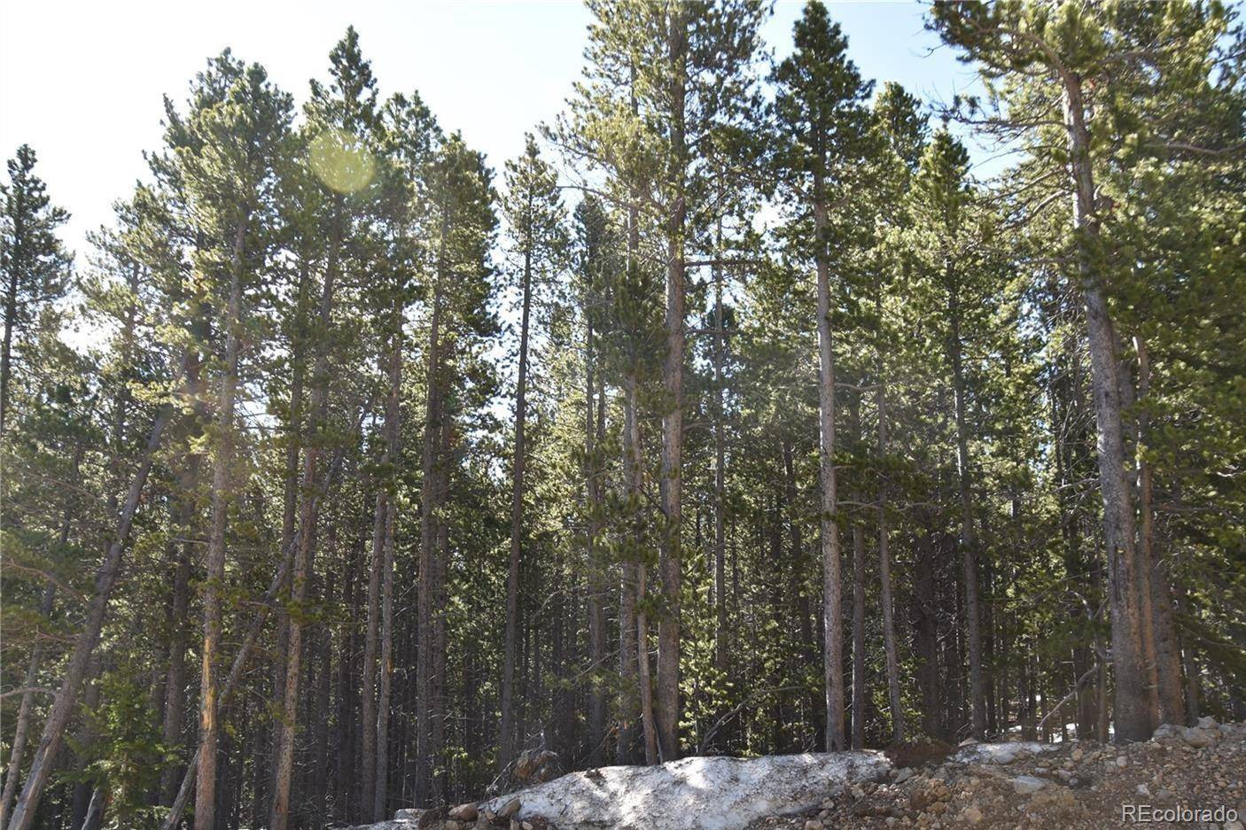 Idaho Springs, CO 80452,000 Upper Forest RD