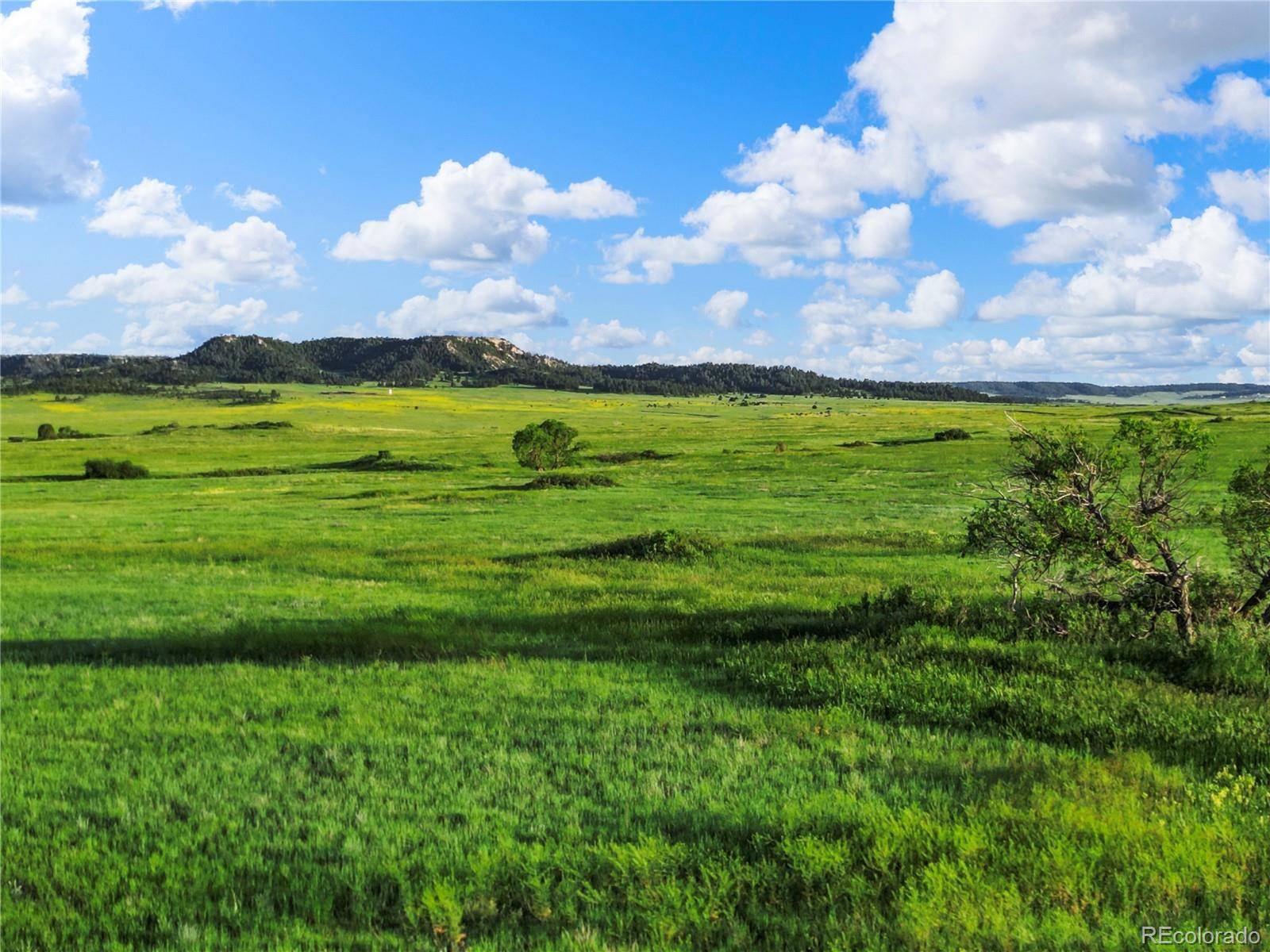 Elbert, CO 80106,22 County Road 53