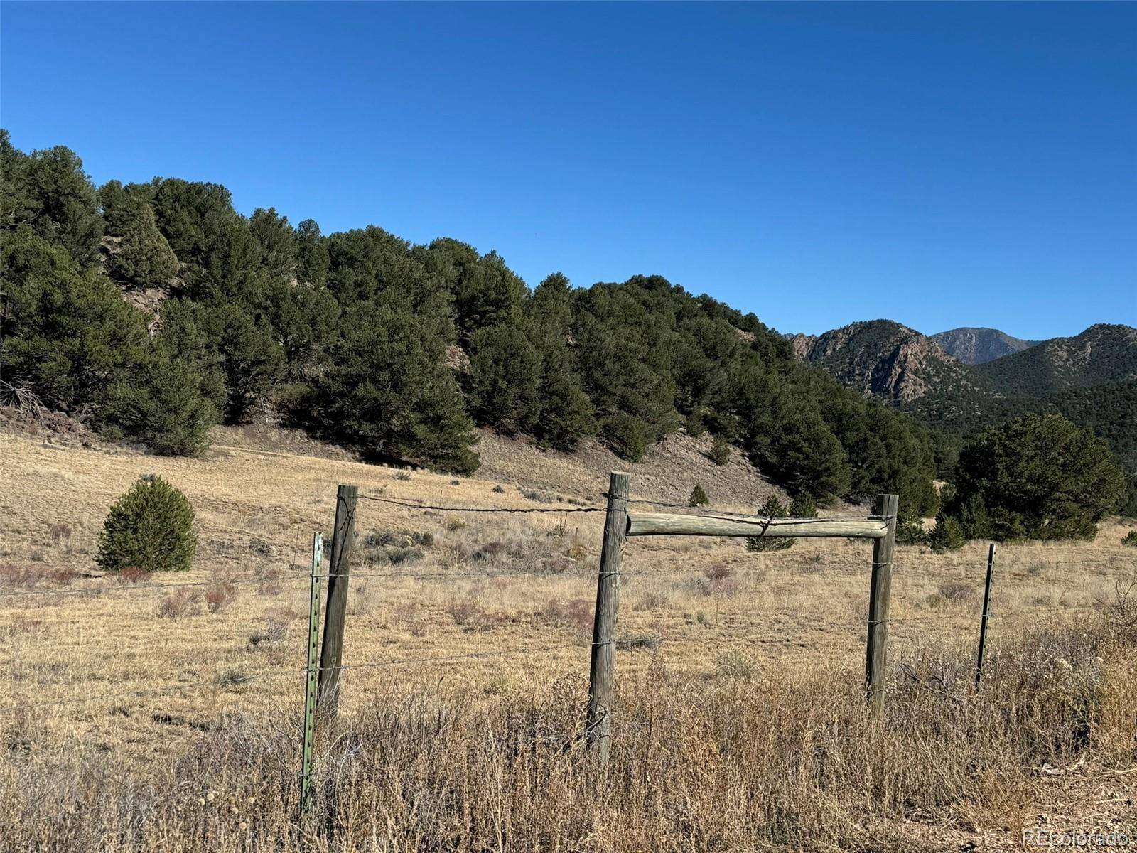 Cotopaxi, CO 81223,2925 County Road 1