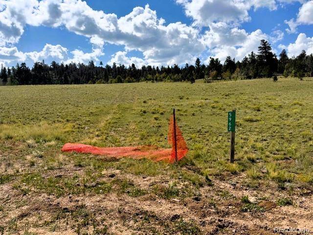 Hartsel, CO 80449,5962 Cherokee TRL