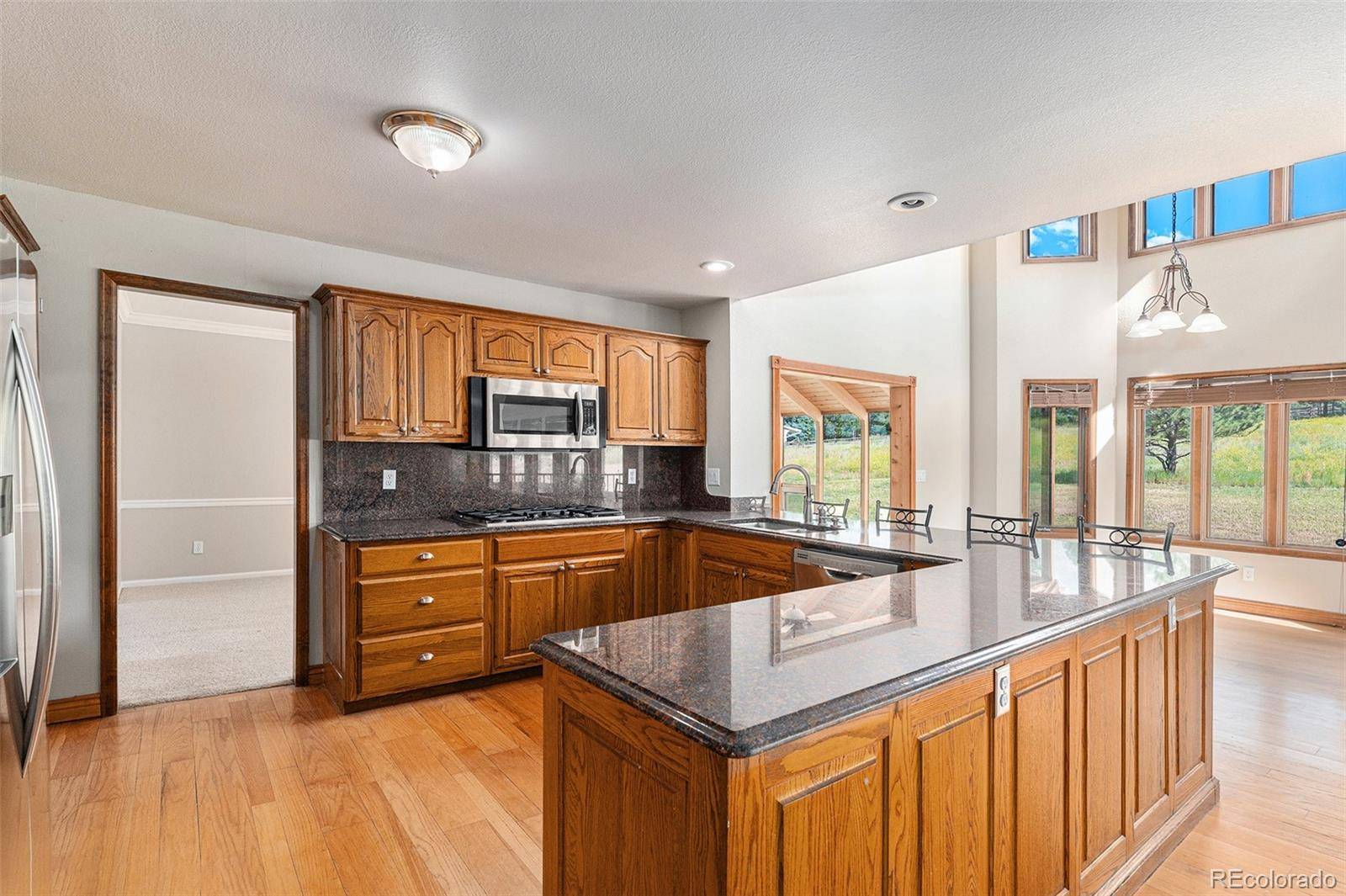 Franktown, CO 80116,102 Staghorn WAY