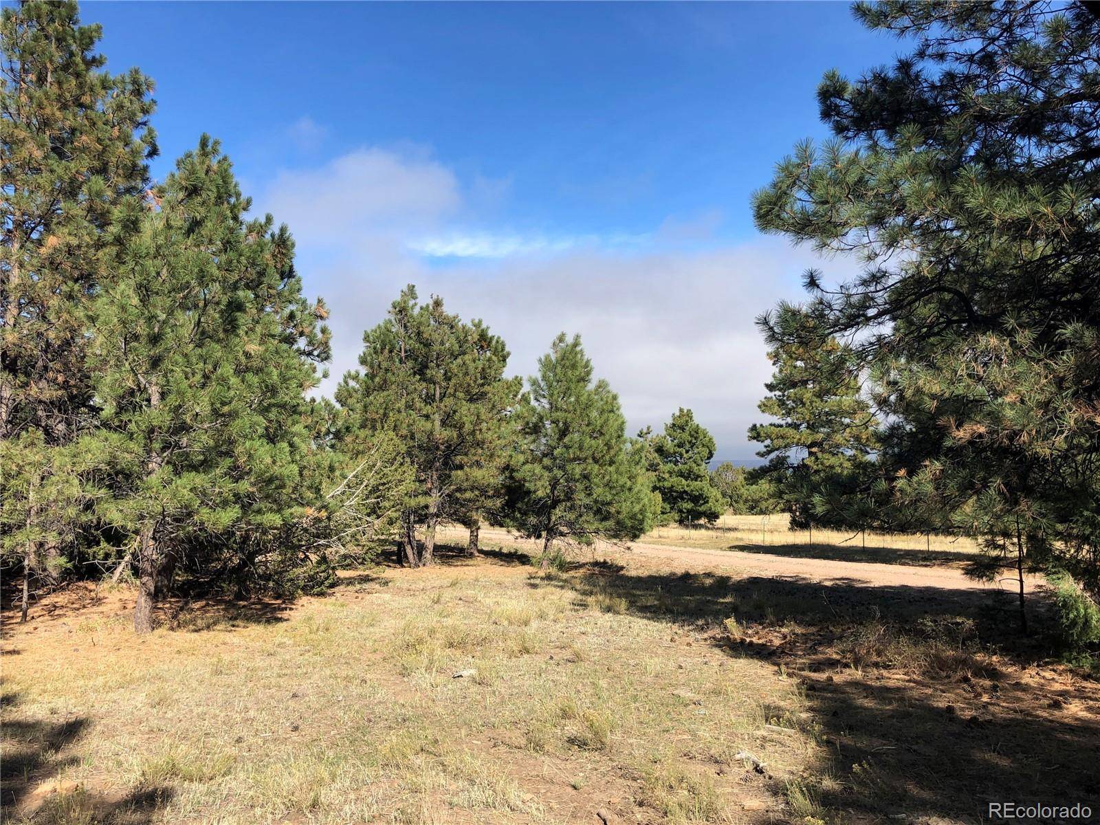 Beulah, CO 81023,000 Ponderosa Pine DR