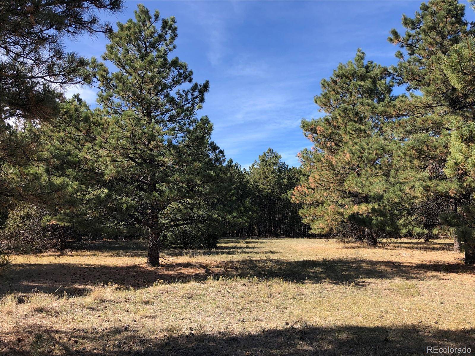 Beulah, CO 81023,000 Ponderosa Pine DR