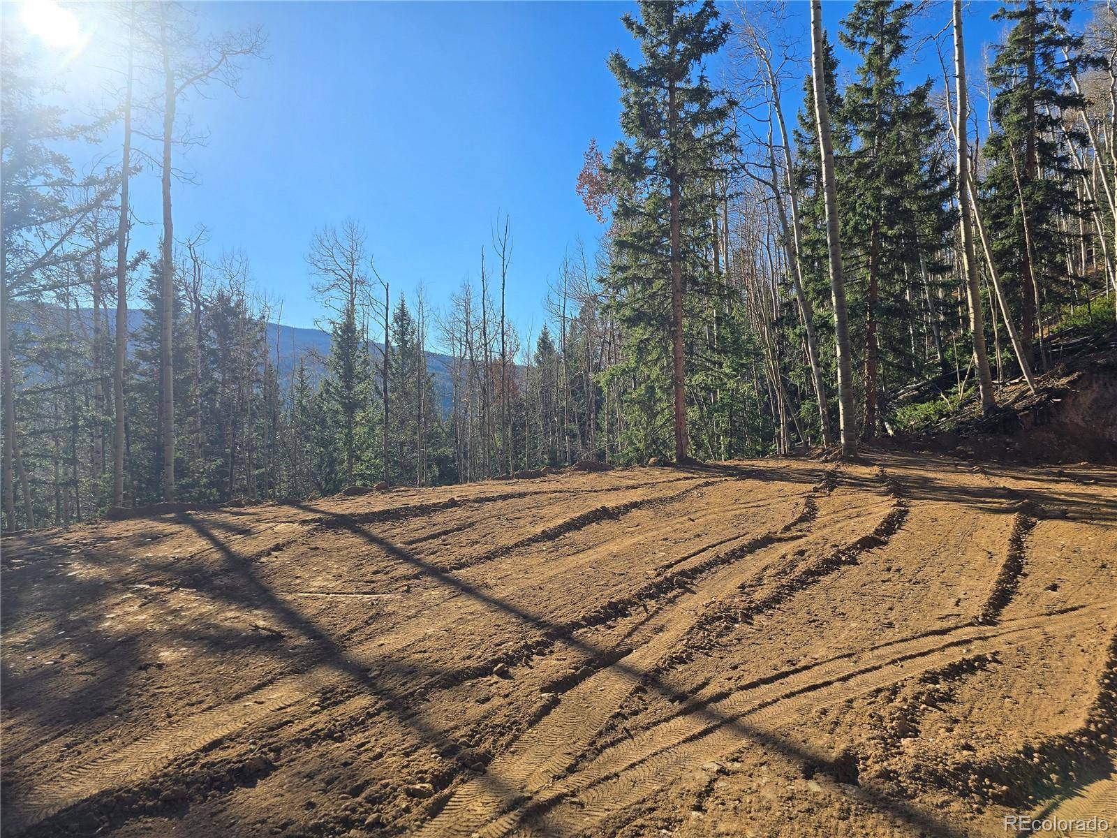 Fort Garland, CO 81133,Lot 5832 Park RD