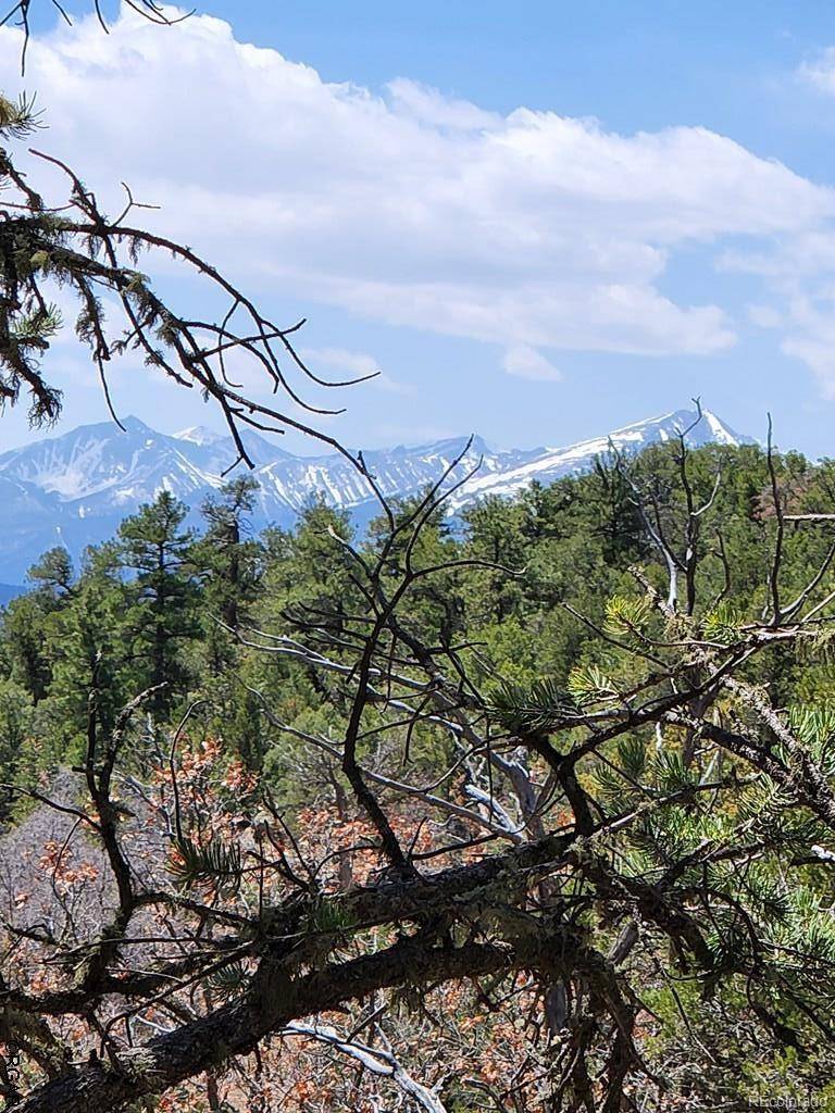 Cotopaxi, CO 81223,1105 Owens LN