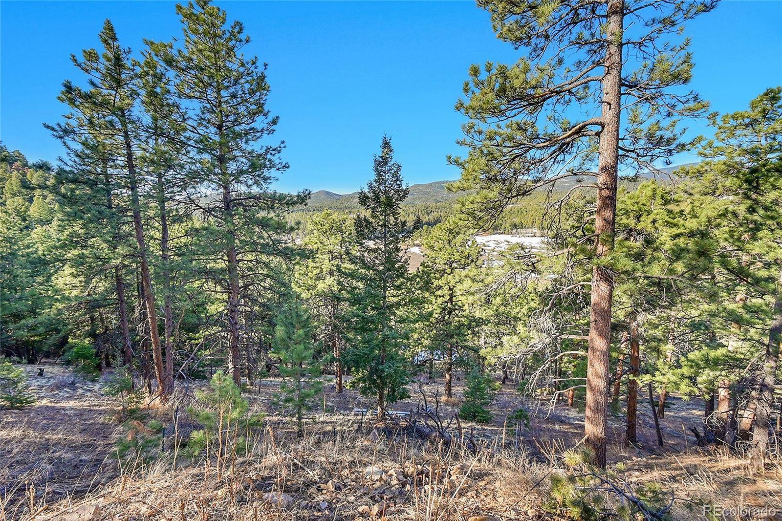Conifer, CO 80433,27292 Ridge TRL