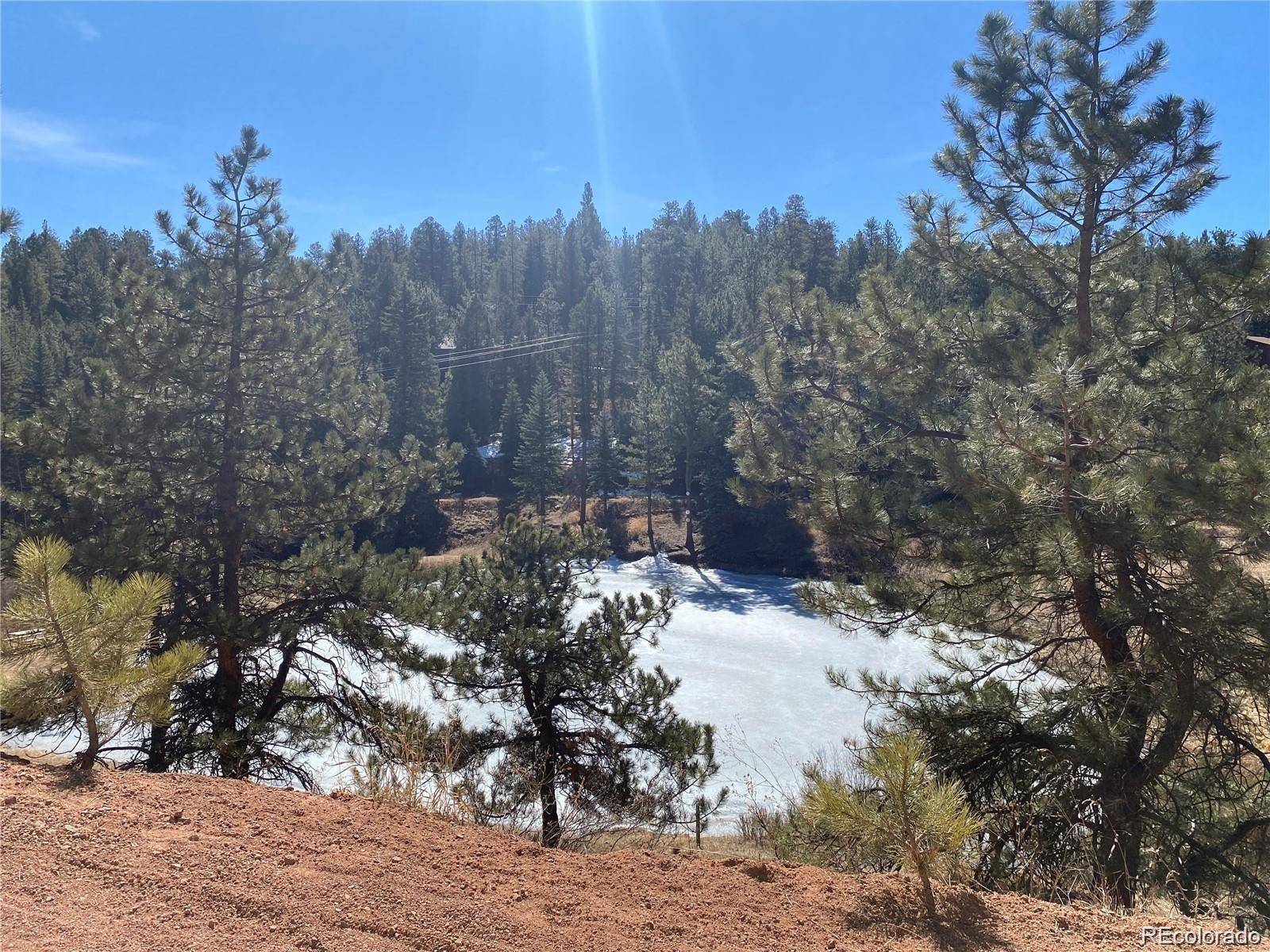 Pine, CO 80470,12373 S Polly DR