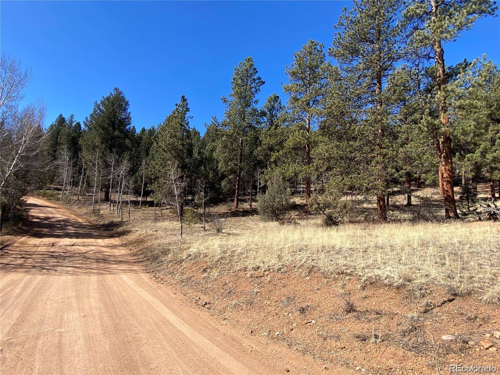 Pine, CO 80470,12373 S Polly DR