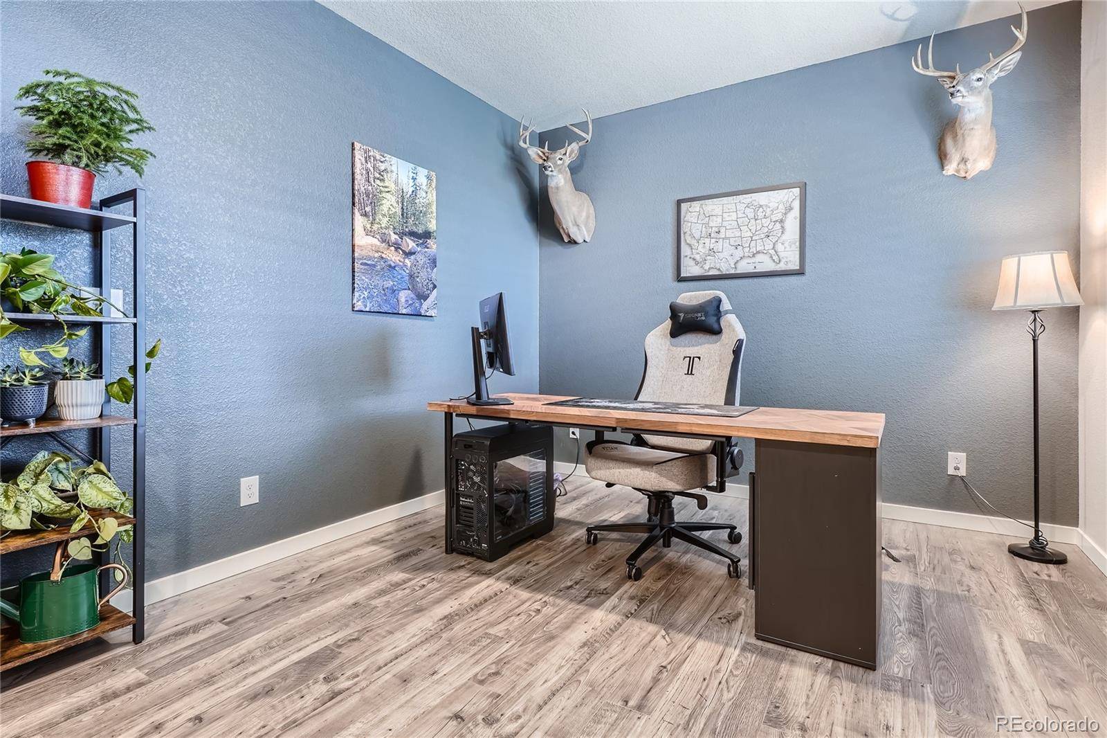 Castle Rock, CO 80104,4781 Rosette ST