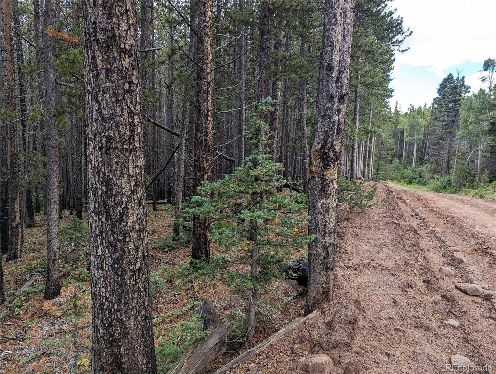 Fort Garland, CO 81133,3022 Bolwell LN